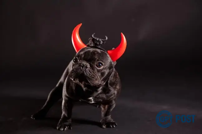 Imagem de FreeBSD 15 traz instalador gráfico: uma evolução para os geeks