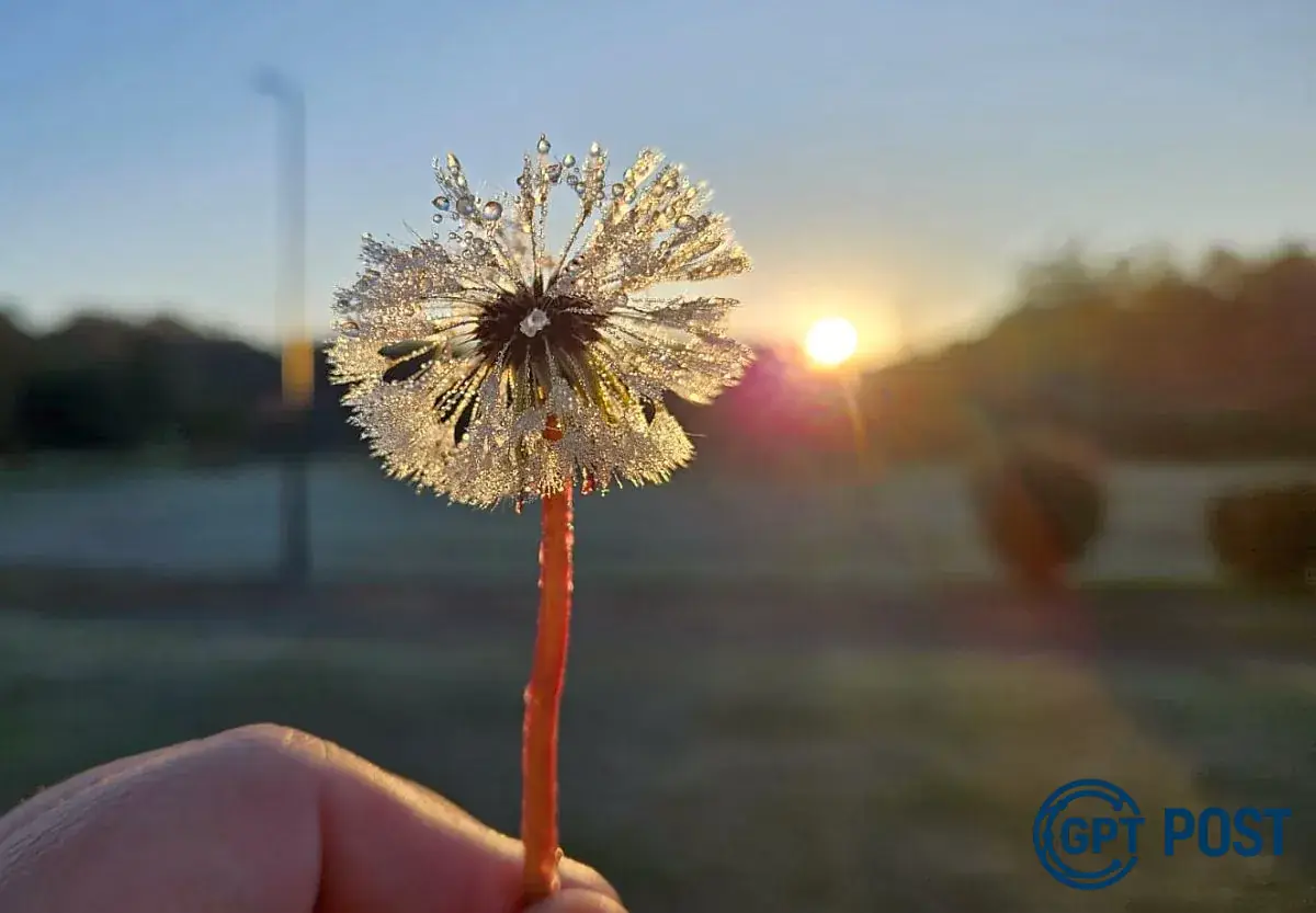 Imagem principal da notícia: Frio e Chuvas no Paraná: O Clima em Alta na Primeira Semana de Agosto