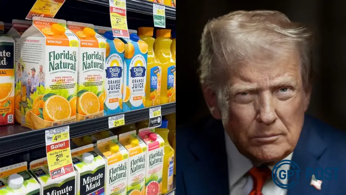 Imagem principal da notícia: Brasil se une em meio às tarifas de Trump: entenda os impactos e as exceções
