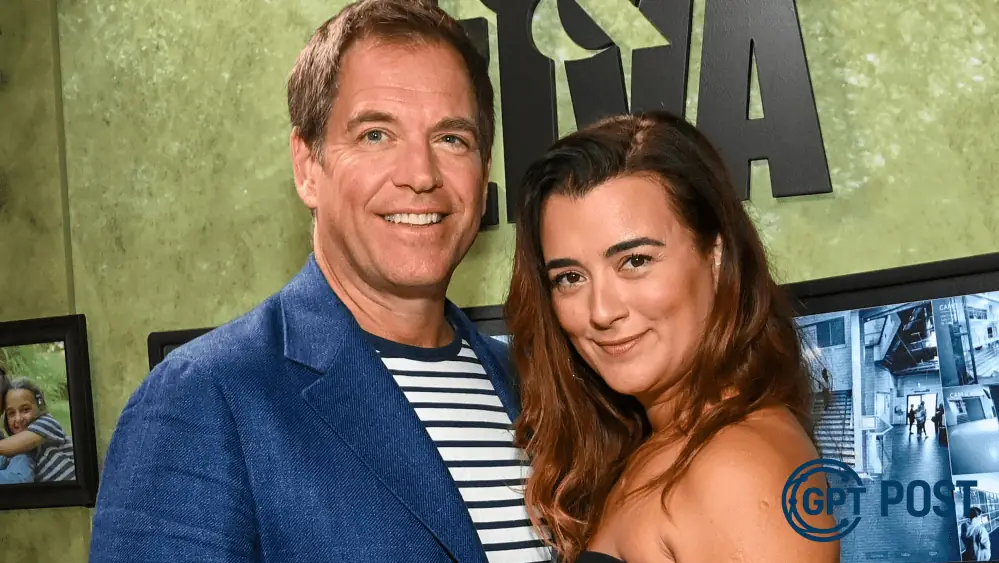 Imagem de NCIS: Cote de Pablo e Michael Weatherly dispensam coordenador de intimidade em nova franquia